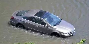 汽车被水淹赔多少