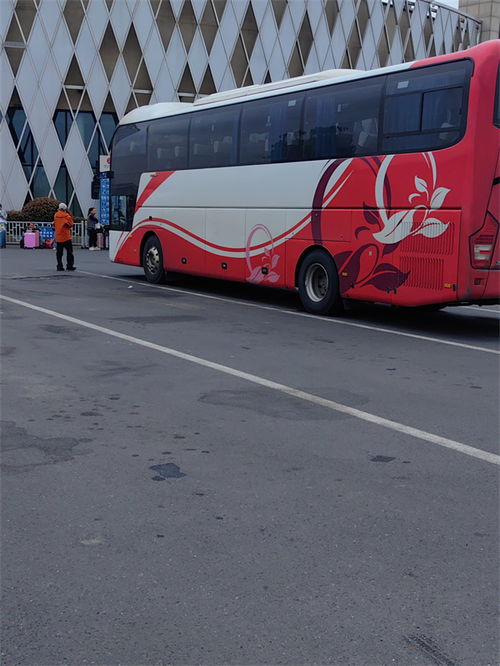 武昌到钟祥汽车多少