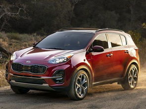 起亚汽车全球均价多少