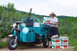 五征汽车油耗多少