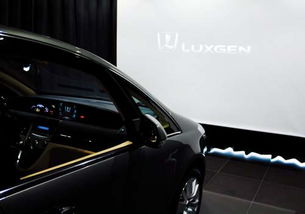 luxseed汽车多少钱