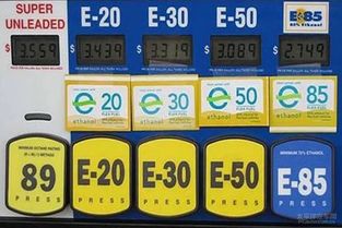 巴西乙醇汽车总量多少