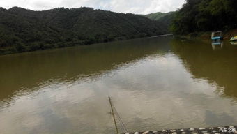 封开汽车整备质量多少