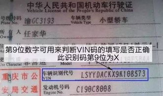 汽车编号是多少位