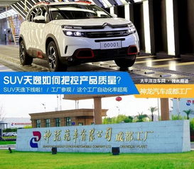 神龙汽车地毯价格多少