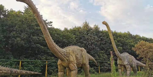 恐龙汽车公园门票多少