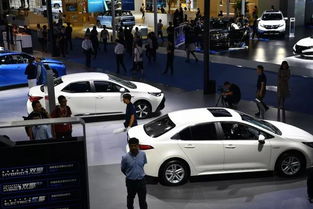 今年能卖多少汽车