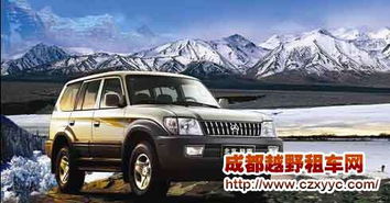 拉萨汽车养护价格多少