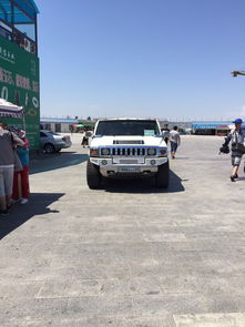 新疆有多少汽车团伙