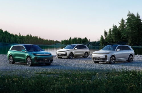 理想汽车基本了解多少