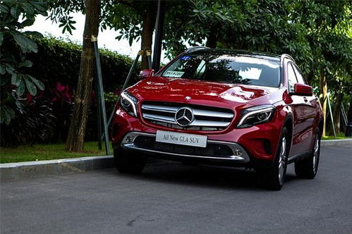 奔驰汽车suv卖价多少