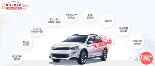 汽车车险多少品牌