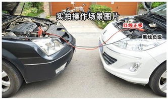 汽车搭个电多少费用