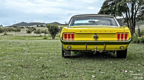 美国汽车是多少伏