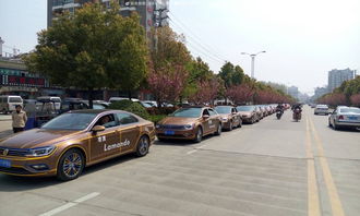 项城汽车人均多少辆 项城汽车人均多少辆