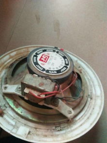 汽车喇叭电压多少伏 汽车喇叭电压多少伏