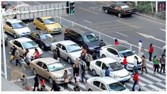 汽车撞人多少责任