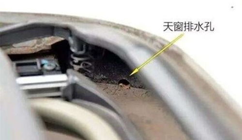 汽车水管加多少