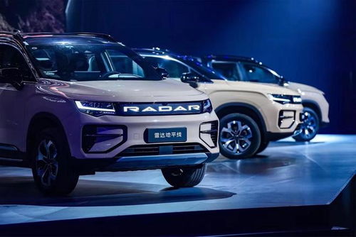 吉利雷达汽车品类多少 吉利雷达汽车品类多少
