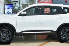 瑞丽汽车整备质量多少