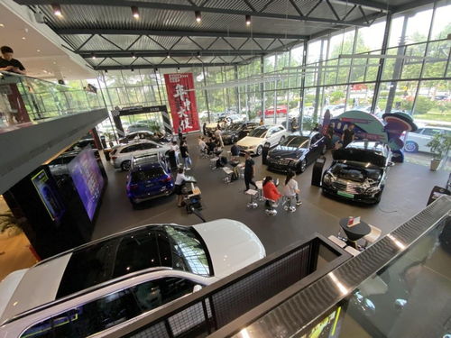 全国有多少台车汽车 全国有多少台车汽车