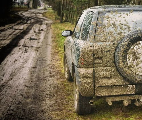 汽车皮带拉力多少