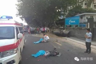 看汽车出多少车祸