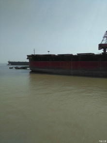 货船可以拉多少汽车 货船可以拉多少汽车