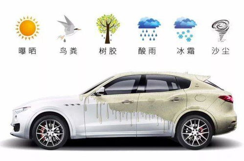 介休汽车油漆价格多少 介休汽车油漆价格多少