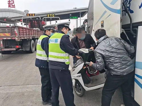 多少辆汽车装货合适