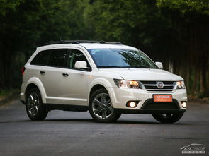 菲跃汽车油耗多少