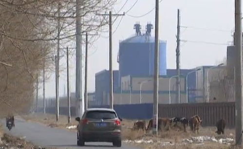 汽车进村限速多少