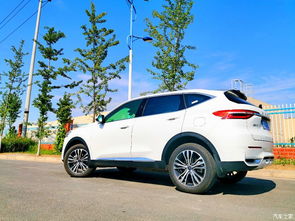 raval汽车多少钱