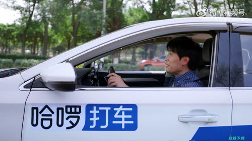 哈啰汽车多少钱