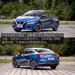 蓝鸟汽车电话多少