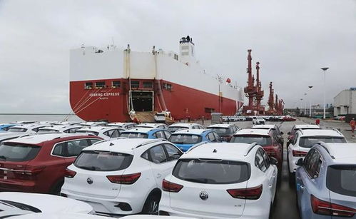 新蓝图汽车重量多少