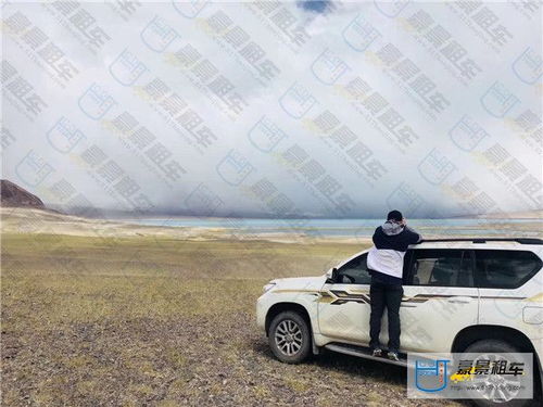 汽车租赁要多少车