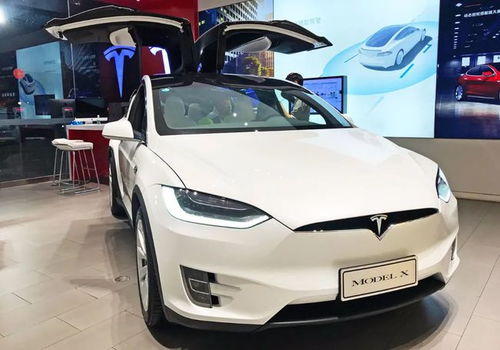 特斯拉汽车海外价值多少