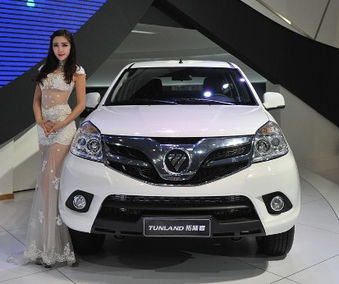 成都福田汽车估价多少