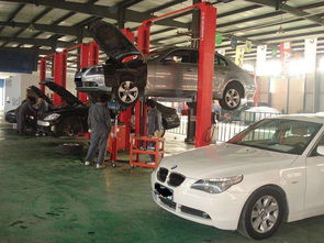 聊城汽车维修多少家