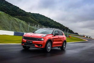 荷兰汽车自动扣税多少