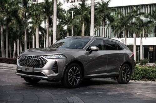 娜托汽车多少价位