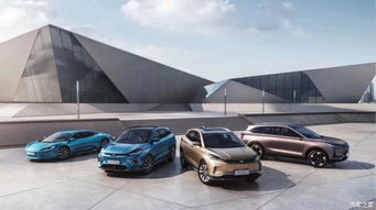 你那汽车多少元