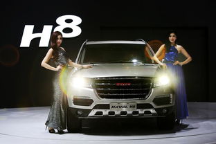 中国个人汽车多少辆