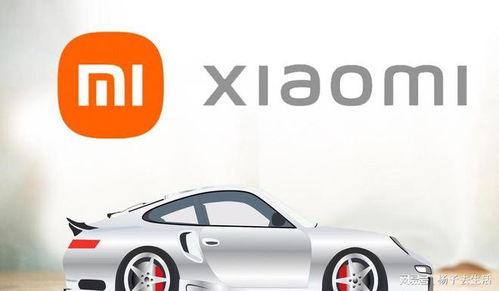 小米汽车有多少资产