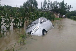 成都大雨汽车损失多少