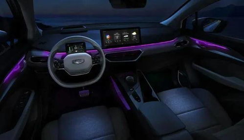 几何汽车限量多少款