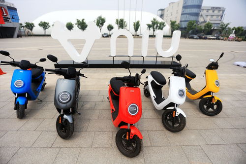 小牛汽车专利有多少 小牛汽车专利有多少