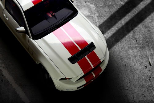 甘肃汽车膜价格多少