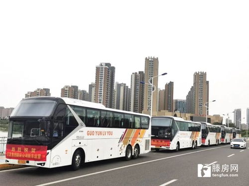 2021滕州汽车多少辆